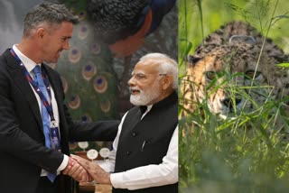 Kevin Pietersen meets PM Narendra Modi