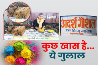 Gwalior Adarsh Gaushala herbal Gulal