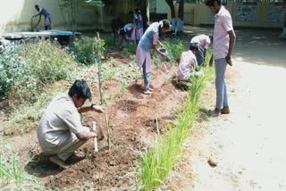 பறவைகளுக்காக விவசாயம் செய்யும் பெத்தநாயக்கனூர் அரசு பள்ளி மாணவர்கள்!