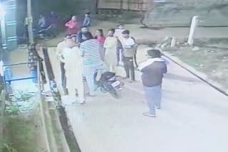 dog attack in fatehabad