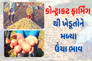 for-non-contract-farming-farmers-potato-cultivation-was-a-nightmare