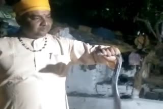 Jabalpur Woman narrowly escapes from cobra