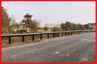 World First Bamboo Crash Barrier