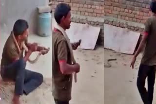 Drunken youth dies of snakebite