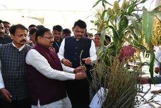 Devendra Fadnavis in Amravati