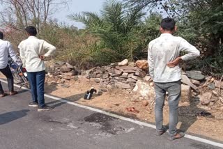 Udaipur Road Accident