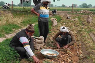 Farmers Upset in Rajasthan