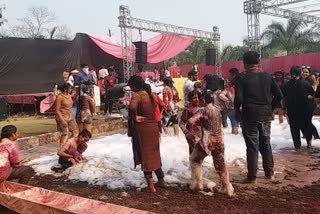 People played Tomato Holi