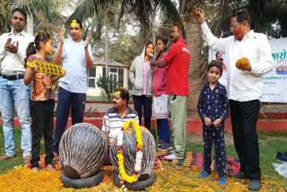 Phulon ki holi in raipur