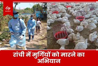 Bird Flu in Ranchi