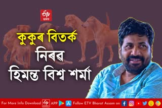 Send stray dogs to Assam