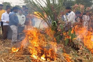 Farmer Decline Holi