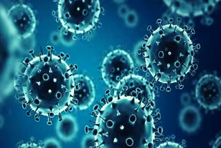 26 cases of H3N2