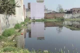 Water Logging