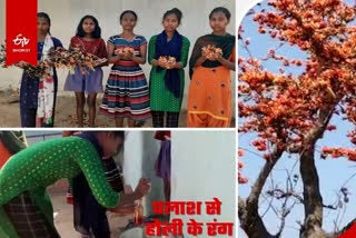 Tribal girls self employed by making colour from Palash flowers in Khunti