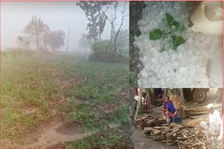 Maharashtra Rain