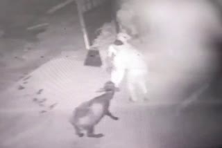 animal theft in sonipat