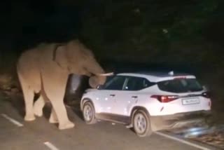 wild-elephant-attacks-car-in-coimbatore