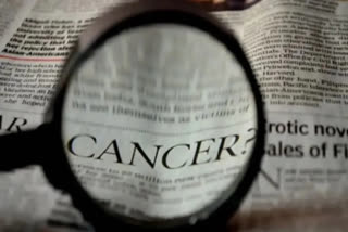 Novel bone cancer drug improves survival rates by 50%