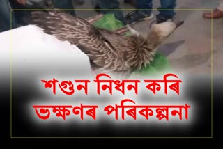 Miscreants plan to kill and eat vultures in Dibrugarh
