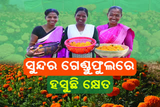 ପରିଚୟ ଦେଲା ଗେଣ୍ଡୁଫୁଲ