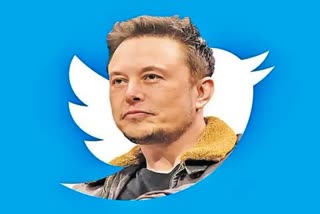 Elon Musk Apologizes: એલોન મસ્કે ટ્વિટરના કર્મચારીની મજાક ઉડાવ્યા બાદ માફી માંગી