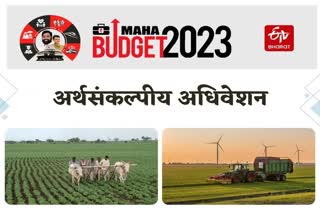 Maharastra Budget Session