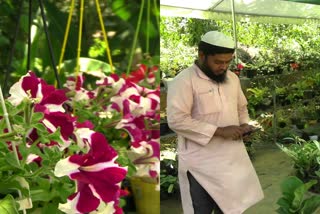 farming Ornamental plant  അലങ്കാര ചെടി  അലങ്കാര ചെടി കര്‍ഷകന്‍  അലങ്കാര ചെടി കൃഷി  Ornamental plant farmer in Idukki  Ornamental plant farmer success story