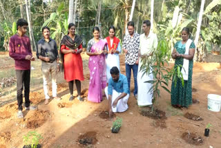 Summer vegetable farming in Mukkam Municipality  Summer vegetable farming  Summer vegetable farming Kerala  Mukkam Municipality  vegetable farming in Mukkam Municipality  രണ്ടാം ഘട്ട വേനല്‍ക്കാല പച്ചക്കറി കൃഷി  വേനല്‍ക്കാല പച്ചക്കറി കൃഷി  മുക്കം നഗരസഭ ചെയർമാൻ പി ടി ബാബു  മുക്കം നഗരസഭ