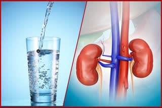 water and kidney