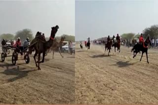 Horse Racing Competition : જામનગરના આ ગામમાં અફઘાનિસ્તાન જેવા દ્રશ્ય સર્જાયાં, જાતવાન અશ્વોની દોડનો રોમાંચ