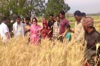 MP Vidisha collector with MLAs went field