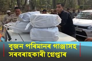 One smuggler arrested along cannabis