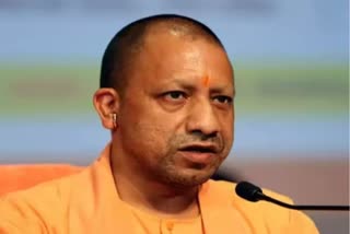 Yogi Government