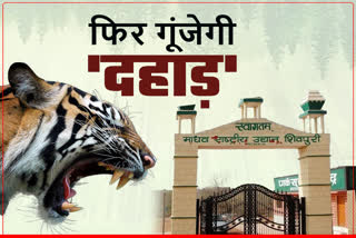 cm shivraj scindia will release 3 tiger