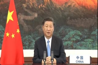 china jinping endorsement