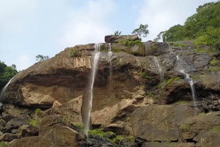 summer tourism in kerala water falls  water falls idukki  kerala news  summer  summer news kerala  malayalam news  idukki tourism  വെള്ളച്ചാട്ടങ്ങള്‍  ഇടുക്കി വെള്ളച്ചാട്ടങ്ങള്‍  കേരള വാർത്തകൾ  മലയാളം വാർത്തകൾ  ഇടുക്കി ടൂറിസം  ഇടുക്കി ടൂറിസം മേഖല