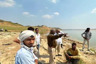 Crocodile Attack on Cattlemen