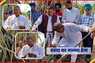 former cm Harish Rawat