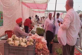 Marketing of various crops by progressive farmers in the farmers market in Moga