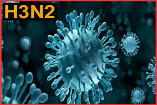 H3N2 Influenza Virus