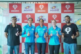 dream 11 partnership