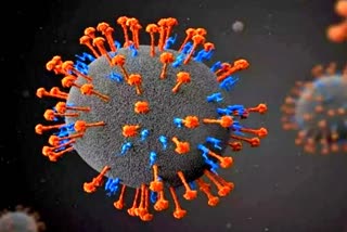 H3N2 virus