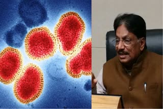 H3N2 Virus Cases in Gujarat : રાજ્યમાં નવા H3N2 વાયરસની એન્ટ્રી, 3 કેસો આવ્યાં હોવાનું સ્વીકારતી સરકાર