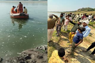 crocodile attack on man