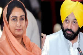 Harsimrat Kaur Badal, release of captive Singhs