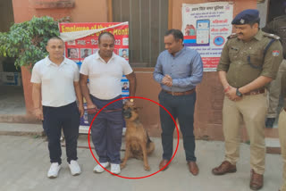 Canine Kattie bags award for cracking murder in Uttarakhand