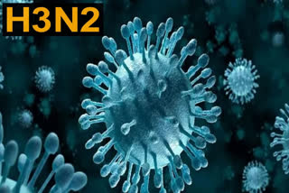 H3N2 influenza Entry in Rajasthan. SMS Medical College has confirmed 54 cases so far