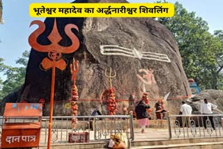 Worship in Bhuteshwar Nath temple