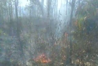 बांका के जंगल में आग